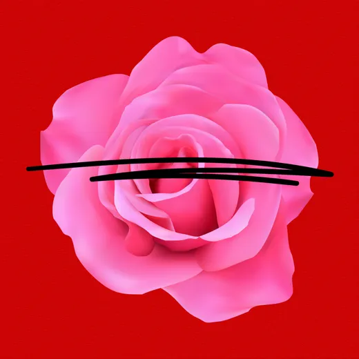 Placeholder cover: a pink rose on the book's red